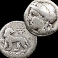 Coin Lion